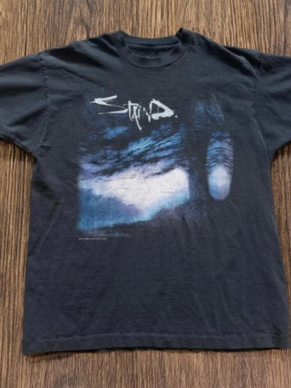 Stain Band Tour Vintage Graphic T-Shirt